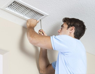 mold removal
